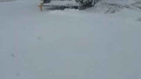 UPS Driver Pro-Drift - Snow edition