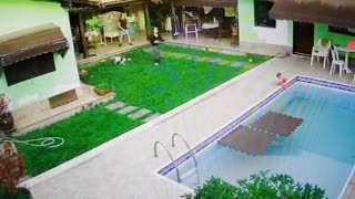 Whole Family Rushes In to Save Toddler From Pool