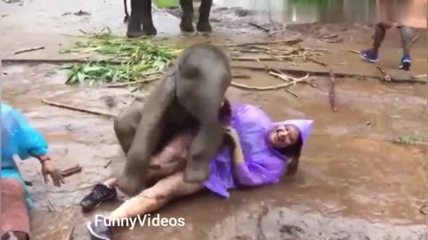 Funny Animals Videos | Funny Girl Video lucu | Funny girl Fails | funny zoo Animals
