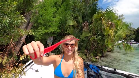 SHRIMPING {Catch and Cook} & Snorkeling in CRYSTAL CLEAR Water!