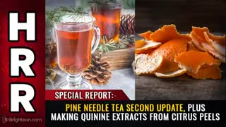 SPECIAL REPORT: PINE NEEDLE TEA UPDATE and QUININE EXTRACTS from CITRUS PEELS