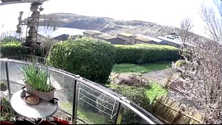 Saint Mary's cove Brixham and bird feeder