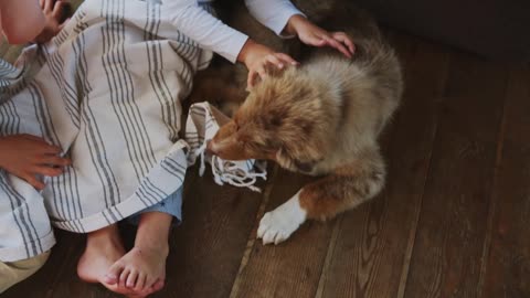 Heartwarming Moments: Children Playing with Dog on the Floor