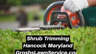 Shrub Trimming Hancock Maryland Landscape The Best