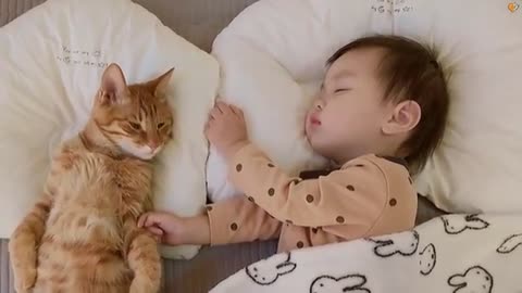 Little Girl and Her Protective Snuggly Cats