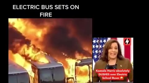 E - busses and politician that lie