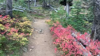 Eastern Oregon – Strawberry Lake + Wilderness – Vivid Autumn Beauty