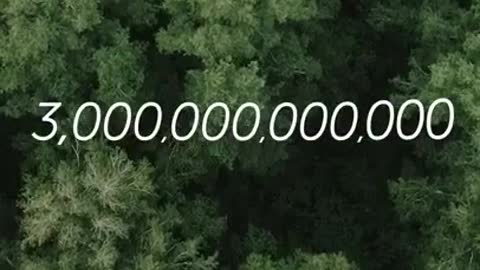 .Incredible Number Of Trees On Our Earth #shorts