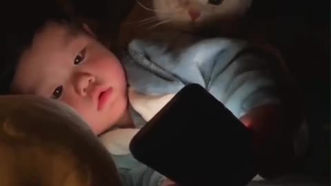 Cat funny animal video 🤣