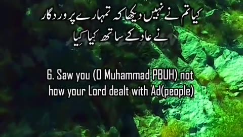 #statusvideo Surah Al Fajr Vers 1 to 14 Urdu English Translation #AhleEmaan