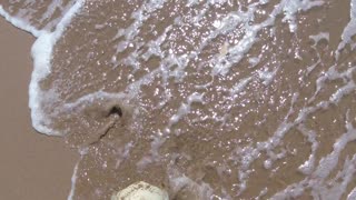 beach metal detecting (4)