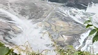 Rare Earth Mine Pollution Exposed In China...