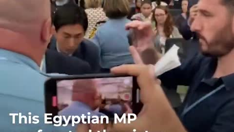Egyptian MP confronts activist’s sister at COP27