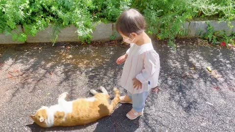 Cat playing with baby