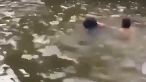 Dog saves his owner from drowning in sea very emotional video