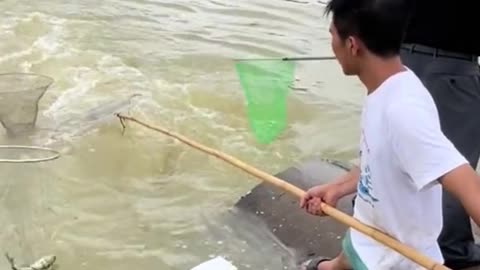 Catching seafood