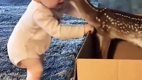 deer kisses kid so with awking posture