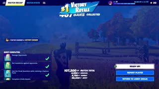 Fortnite Victory in Solos