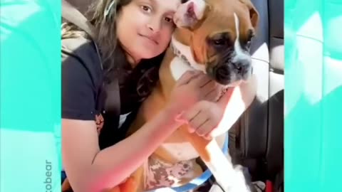 Funny dog reaction with owner