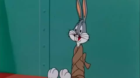 Bugsbunny Funny Cartoons