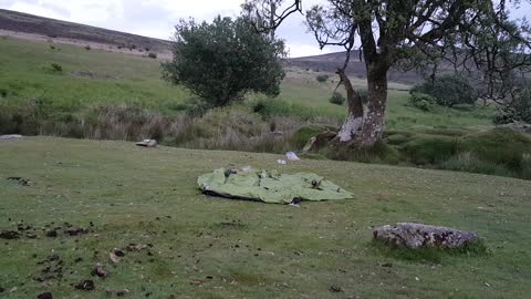 Putting up the Lanshan 2 tent at an abandoned tin mine settlement. Dartmoor