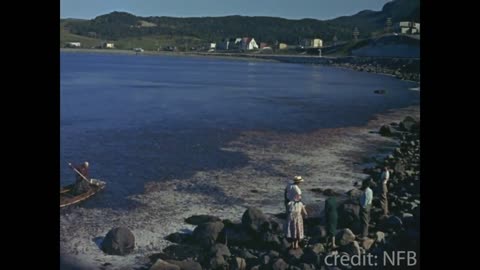 Newfoundland in 1962