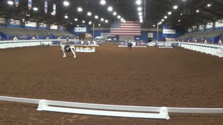 WDAA Western Dressage World Championship Show | Ring 1 | Test