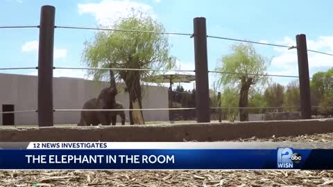 As other zoos phase out elephant exhibits, Milwaukee County bets future on theirs