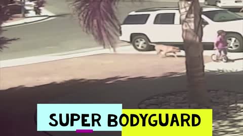 super bodyguard