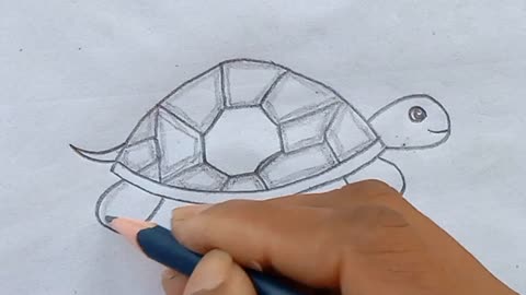 Tortoise drawing||Tortoise drawing easy step-by-step||Easy tortoise drawing for kids