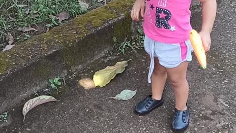 Smart Puppy Distracts Child and Steals Sucker