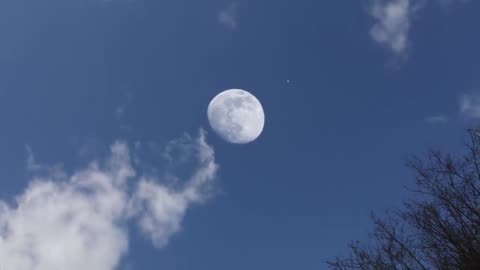 Moon crash seen from Earth.