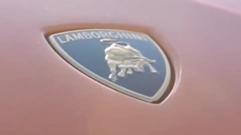 Lamborghini Lovers #lamborghini #lover #viral #video #viralvideo #viralvideo