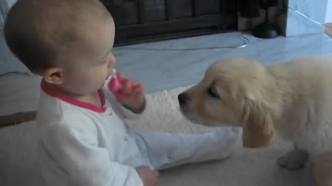 Baby and Puppy meet for the first time! so cute