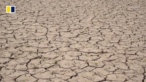 Riverbeds crack as Chinese farmers struggle through intense heatwave