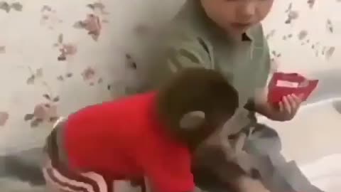 Monkey fighting for food with children