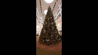 Grand Floridian Christmas and Giant Gingerbread House.