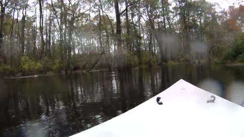 Drowning Creek, North Carolina 11_01_2015