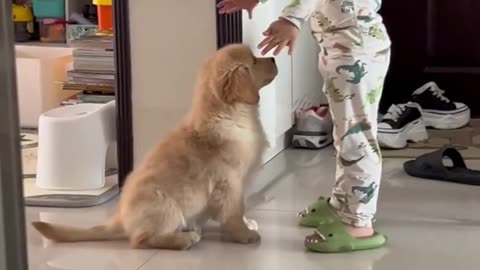 Puppy Playing With Baby!