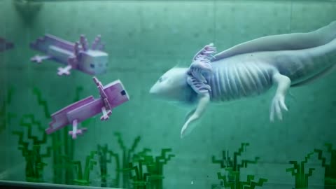 How To Make Minecraft Axlolotls in the aquarium with Polymer clay and Epoxy Resin