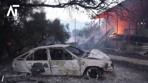 Tragedy in Greece Forest Fires Claim Life Amid Gale Force Winds | Amaravati Today