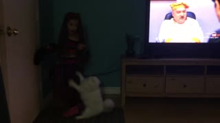 Cat jumping on a girl