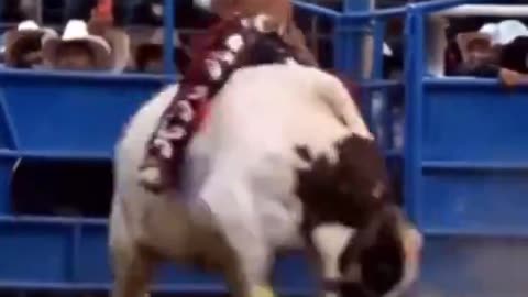 Best Bucking Ever!