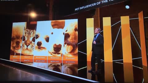 Tucker Budzyn wins the Pets American Influencer Award!