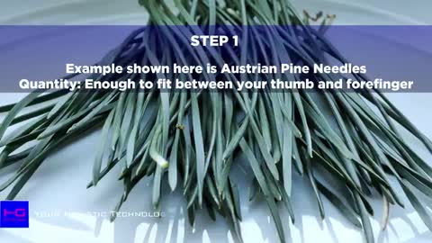 Dr. Judy Mikovits Ph.D - HOW TO MAKE PINE NEEDLE TEA FOR VACCINE ANTIDOTE