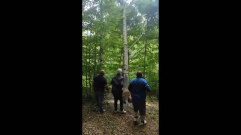 Falling tree sends dude flying in the air