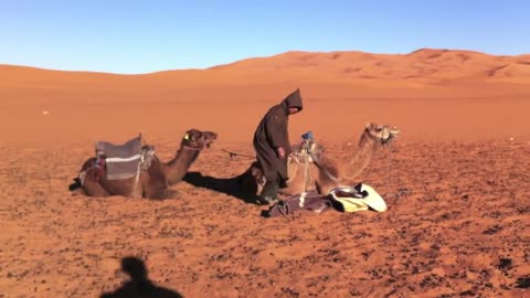 Sandboarding in the Sahara Desert Merzouga, Morocco
