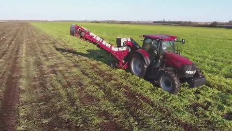 Growing Carrots and Onions with Modern way