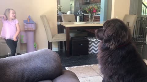 Dog tries to figure out little girl's crazy signals