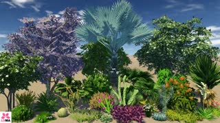 Semi-Tropical Landscape Theme
